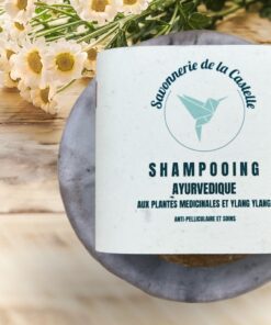 shampooing solide naturel pour cheveux gras