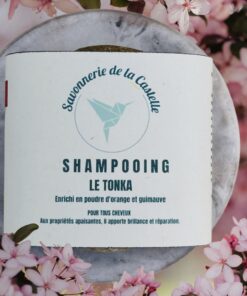 shampooing solide naturel pour cheveux secs et normaux