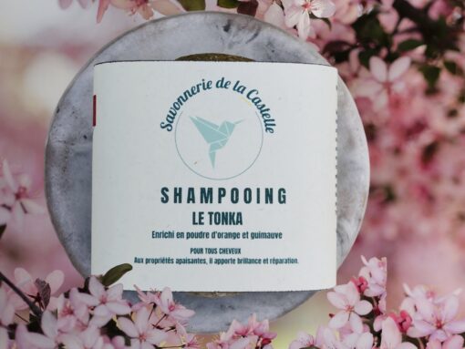 shampooing solide naturel pour cheveux secs et normaux