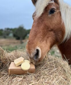 savon lait de jument camargue artisanal a l'huile essentielle de lavande