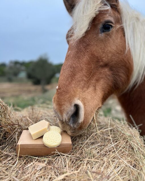 savon lait de jument camargue artisanal a l'huile essentielle de lavande