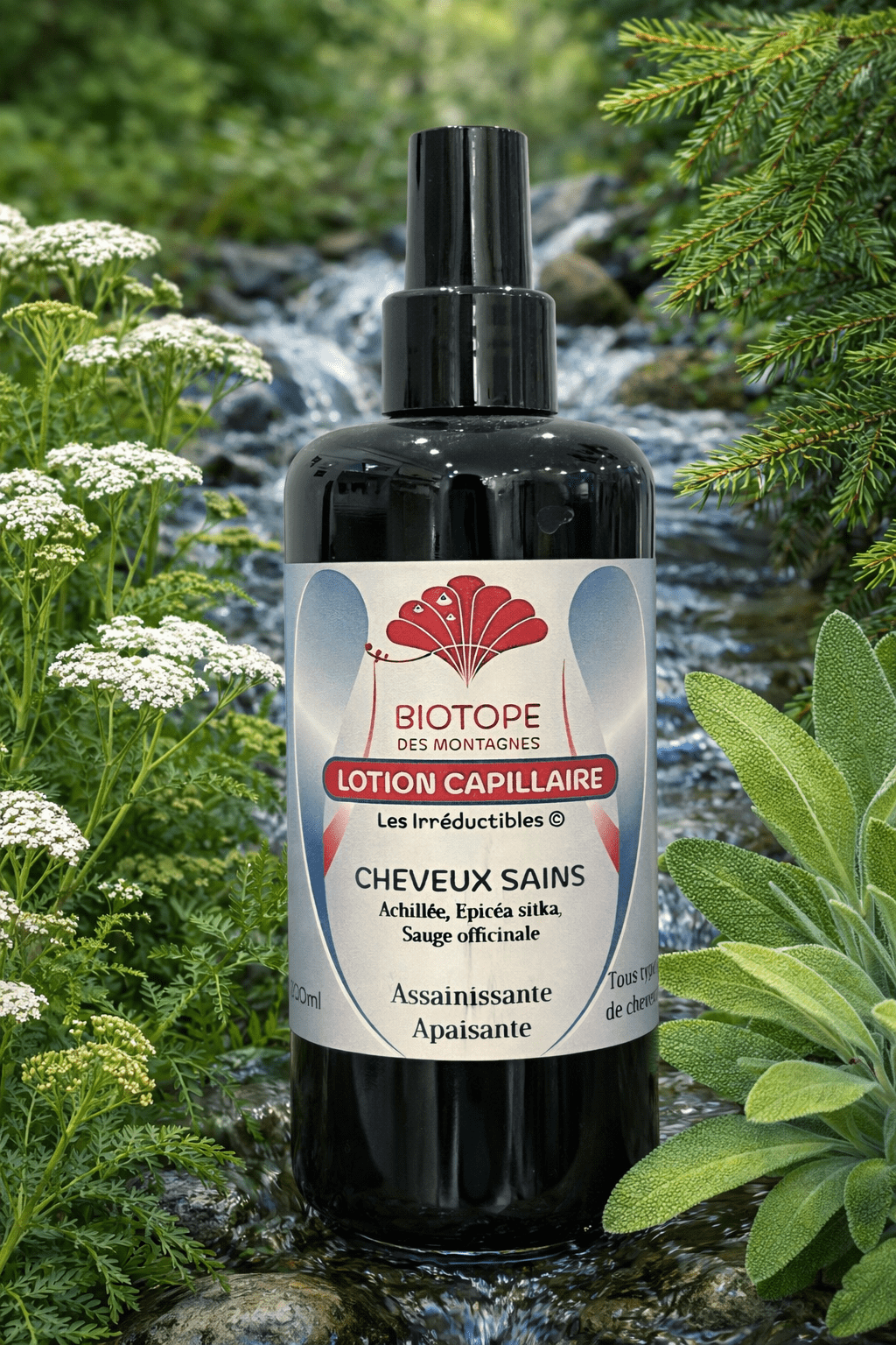 Lotion capillaire assainissante naturelle
